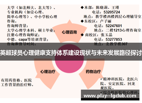 英超球员心理健康支持体系建设现状与未来发展路径探讨
