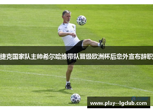 捷克国家队主帅希尔哈维带队晋级欧洲杯后意外宣布辞职 捷克国家队主帅希尔哈维带队晋级欧洲杯后意外宣布辞职